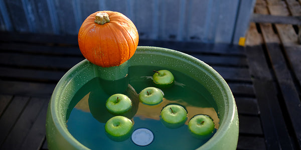 How to use an Outside Gang drinks cooler